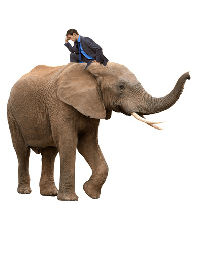 ElephantRiderwrong